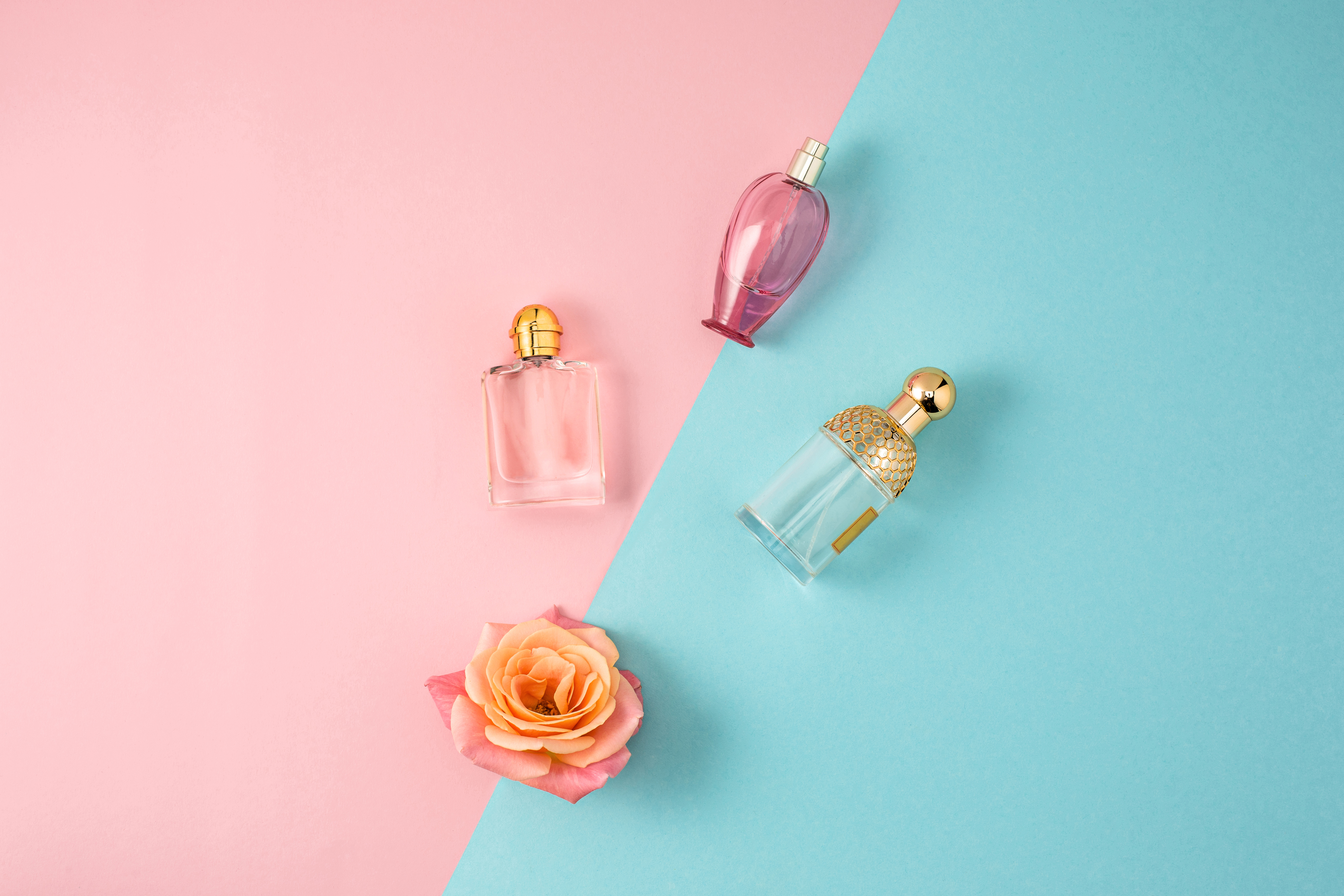 Cosmetics - Perfume on colorful backgroundb with rose