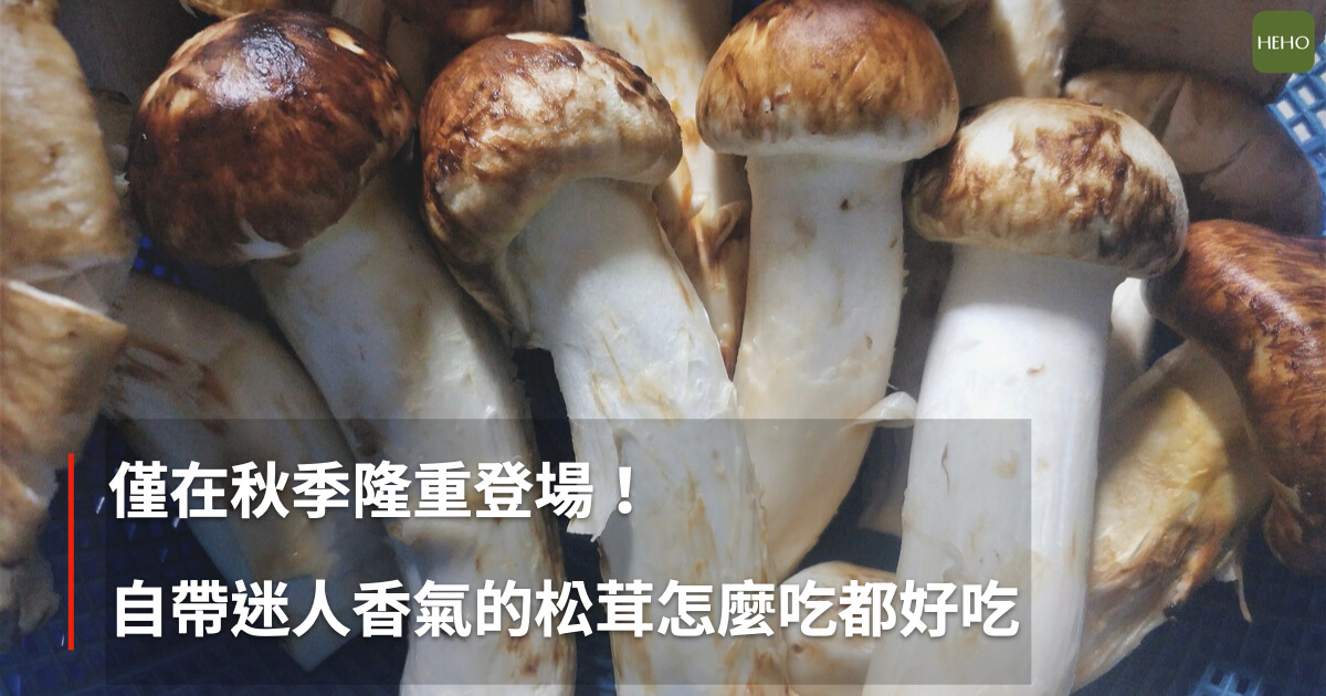 擁有最迷人香氣的「菇中之王」！日本人入秋必吃松茸有這5大吃法
