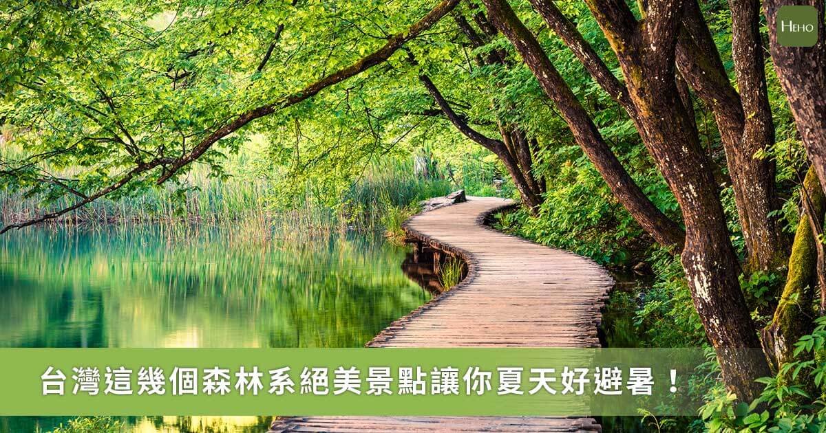 嚴選自然系森林景點 台灣人最愛避暑勝地報你知