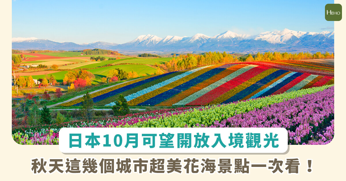 日本 10 月可望開放「自由行」 提早做規劃，秋天超美花海搶先看！