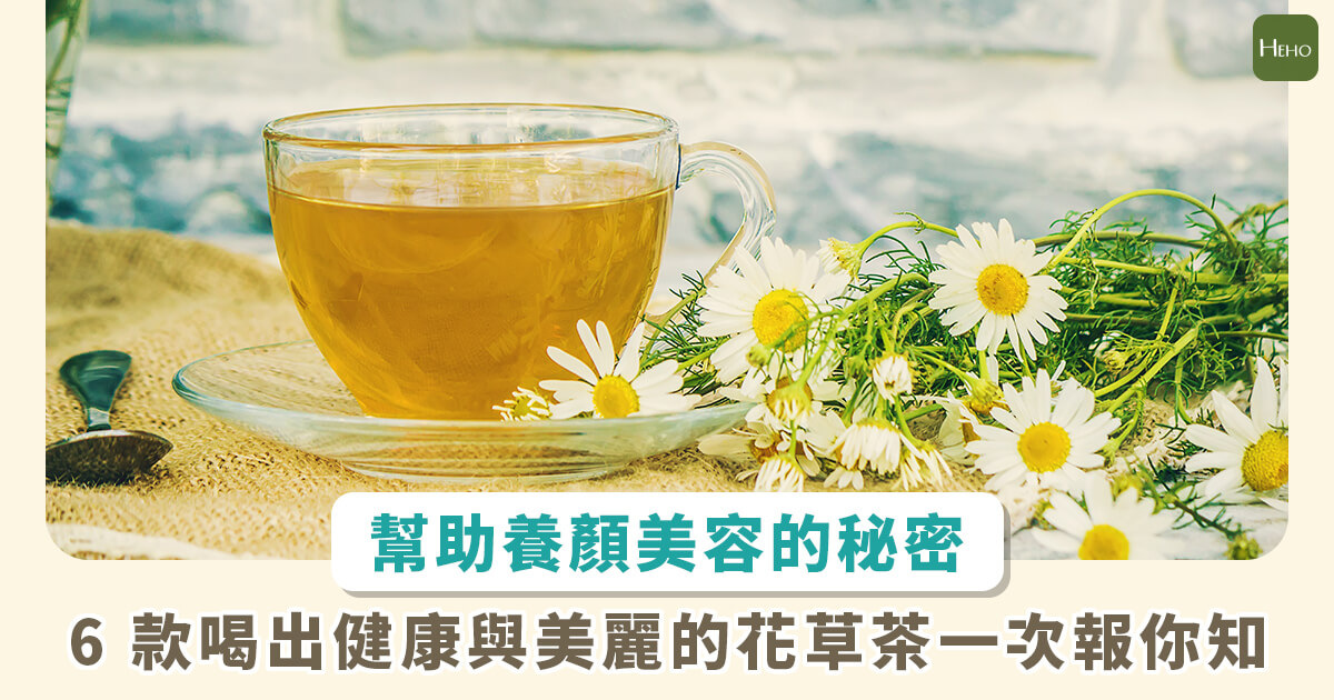美容就從喝茶開始！推薦6款女生專屬花草茶，兼顧健康與美麗的秘密武器